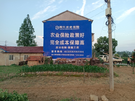 藤县墙体广告为何受追捧？